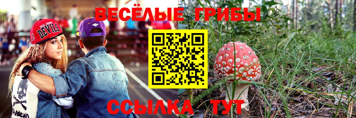 Киселёвск  Псилоцибиновые грибы прущие грибы  Вход с VPN  Псилоцибиновые грибы мухоморы 